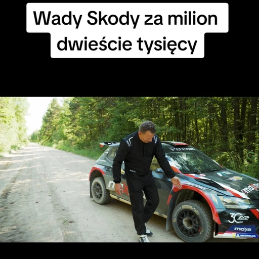 Wady Skody  image