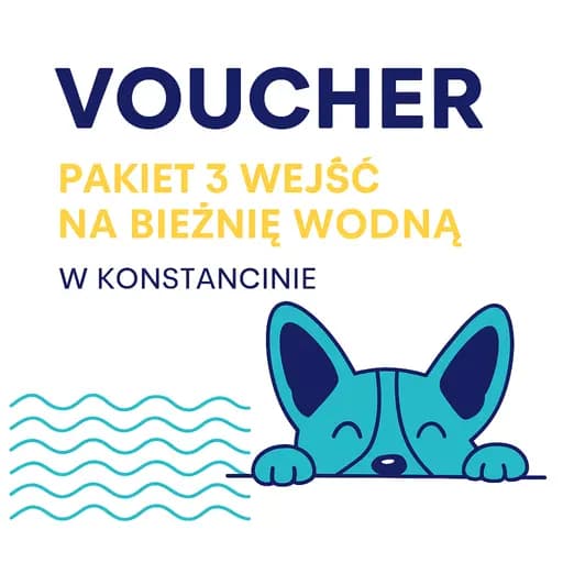 Voucher na bieżnię wodną – fizjoterapia dla psów w Konstancinie - Anastasiya